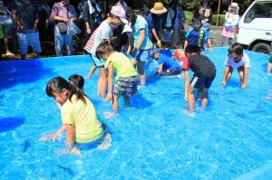 宮崎17 魚のつかみ取り 夏休み子供がよろこぶイベント ほんみや