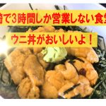 宮崎「渚」ウニ丼