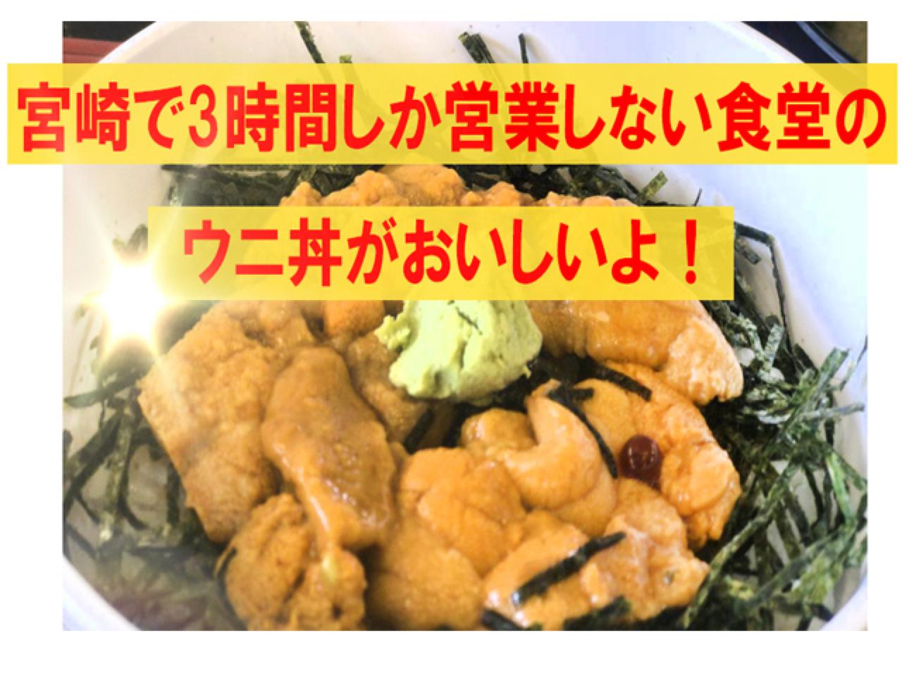 宮崎「渚」ウニ丼