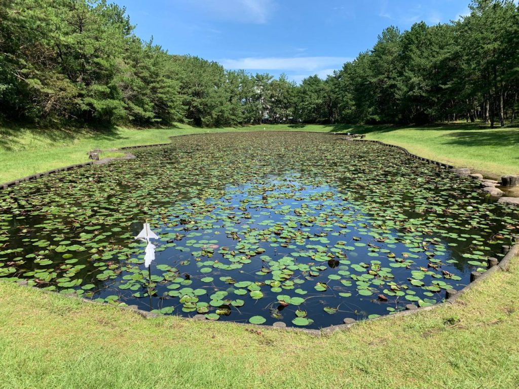 みそぎ池