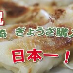 宮崎餃子購入額日本一