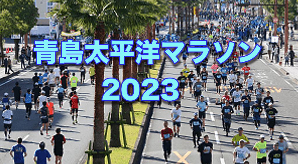 宮崎青島太平洋マラソン2023が開催されます