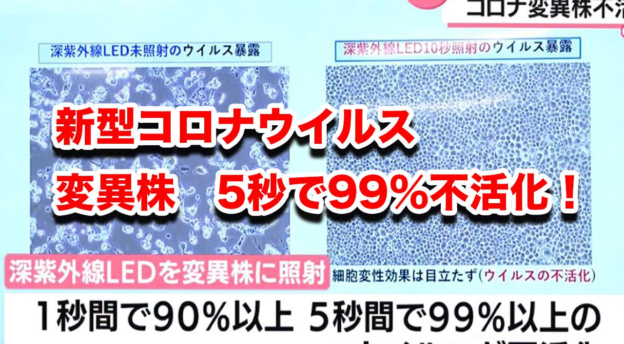 宮崎大学深紫外線ledが新型コロナ変異株に有効 ほんみや