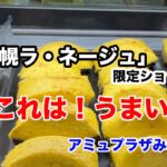 アミュプラザ宮崎ー札幌ラ・ネージュ