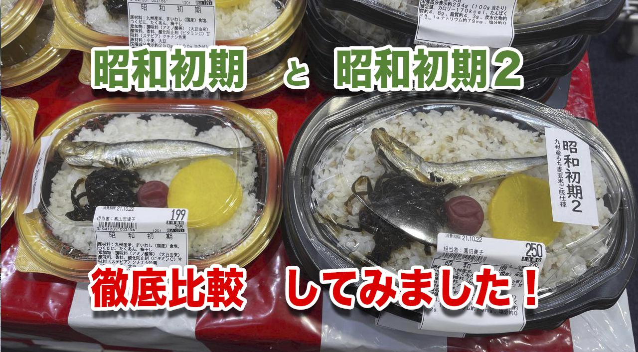 宮崎ナガノヤ昭和初期弁当２