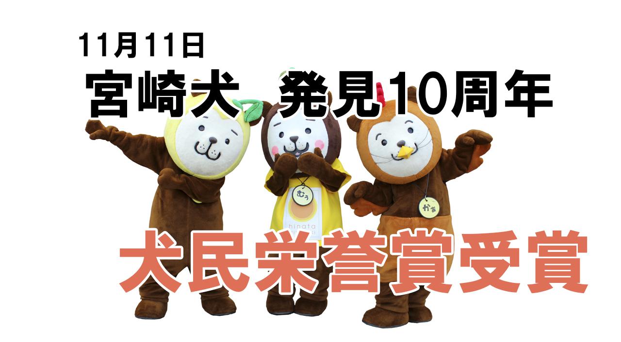 「みやざき犬が【犬民栄誉賞】11月11日発見10周年！