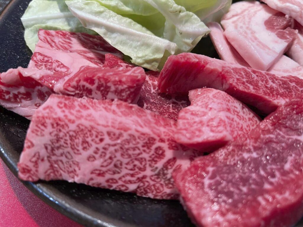 宮崎-岡崎牧場焼肉店