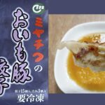 宮崎ぎょうざ購入額日本一【ミヤチクおいも豚餃子】コスパ最高！