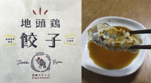 宮崎ぎょうざ購入額日本一【宮崎地鶏頭】じどっこ餃子を食べてみました