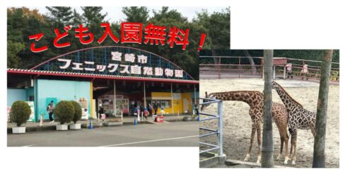 5月5日『宮崎フェニックス自然動物園』入場無料