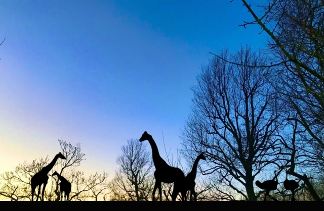 宮崎フェニックス自然動物園「トワイライト営業」夕暮れの動物たちを観察しよう！