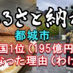 宮崎県都城市ふるさと納税が全国1位(195億円）になったワケ！