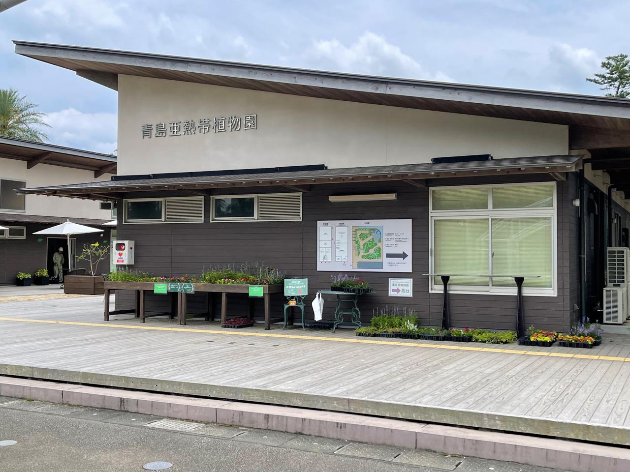 【宮崎スポット】宮崎県立亜熱帯植物園はこんなところ！