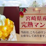宮崎ブーゲンビリア空港で食べたい！完熟マンゴーを贅沢に使った「マンゴーソフトクリーム」