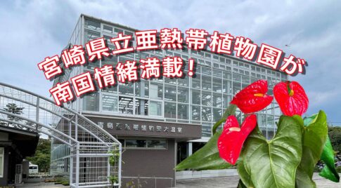 【宮崎スポット】宮崎県立亜熱帯植物園が南国情緒満載！宮交ボタニックガーデン青島