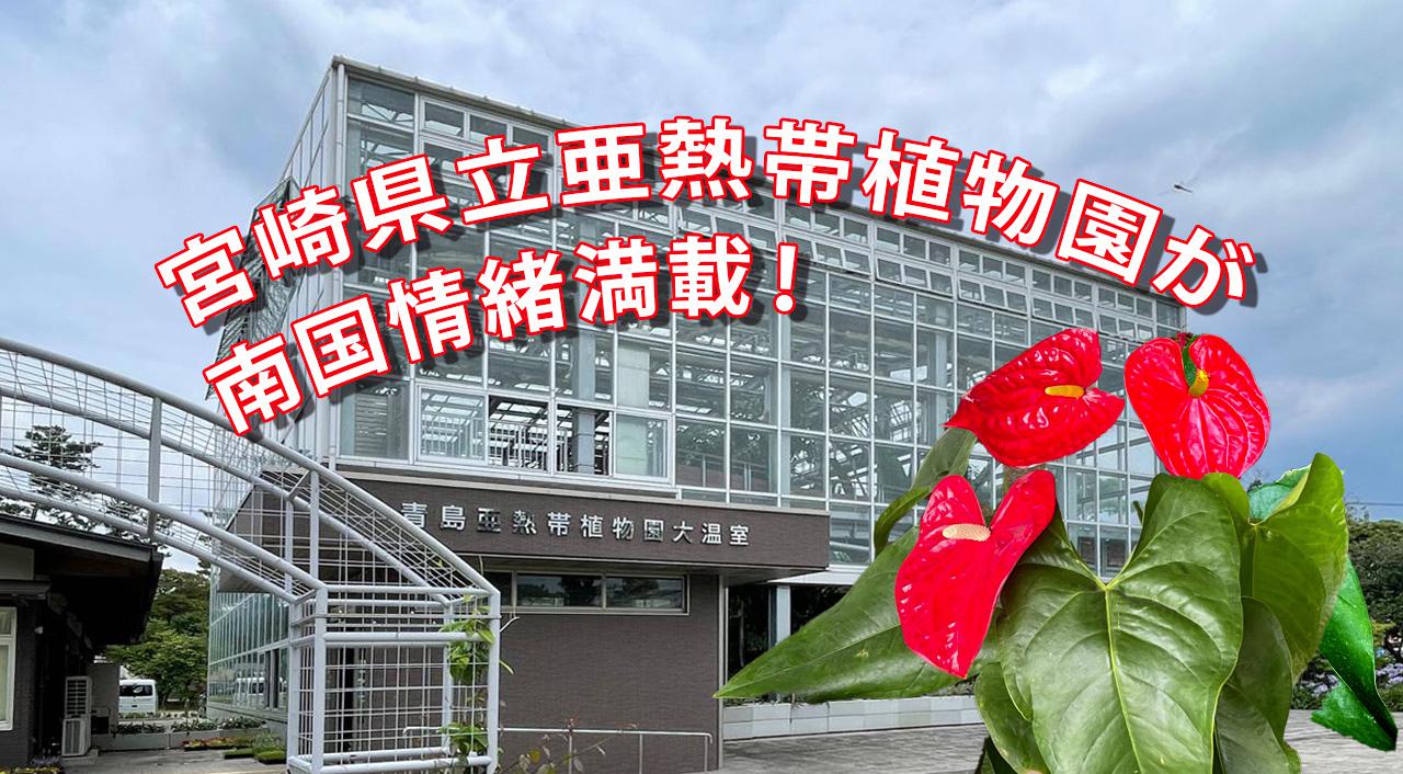 【宮崎スポット】宮崎県立亜熱帯植物園が南国情緒満載！宮交ボタニックガーデン青島