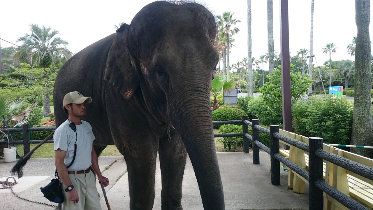 【宮崎県民感謝月間】宮崎フェニックス自然動物園が大人も子供も半額！