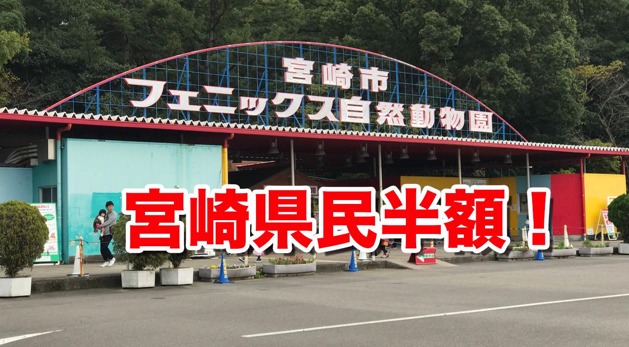 【宮崎県民感謝月間】宮崎フェニックス自然動物園が大人も子供も半額！