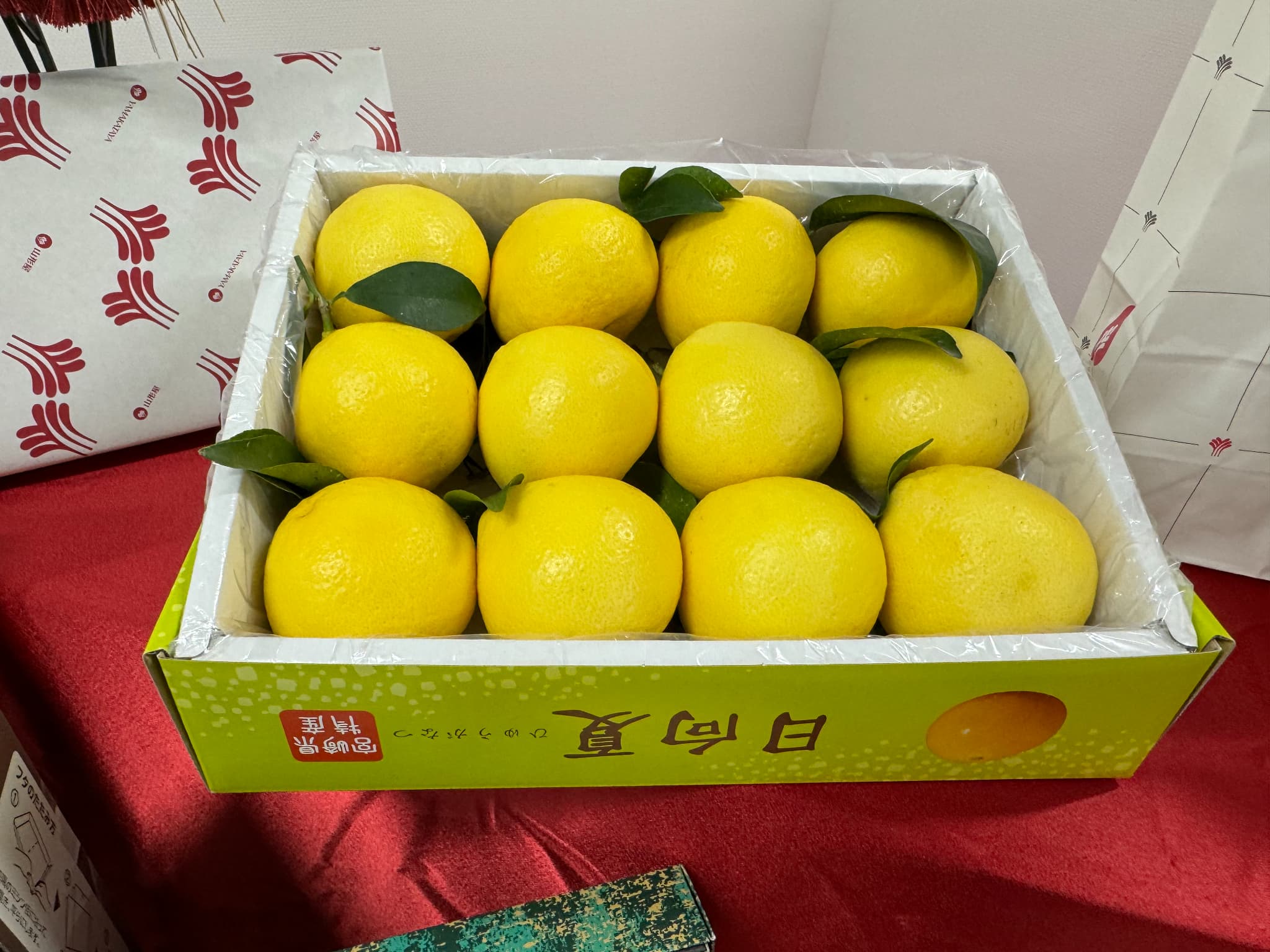 2館合同【限定グルメ満載福袋2023】販売します!宮崎山形屋×アミュプラザみやざき