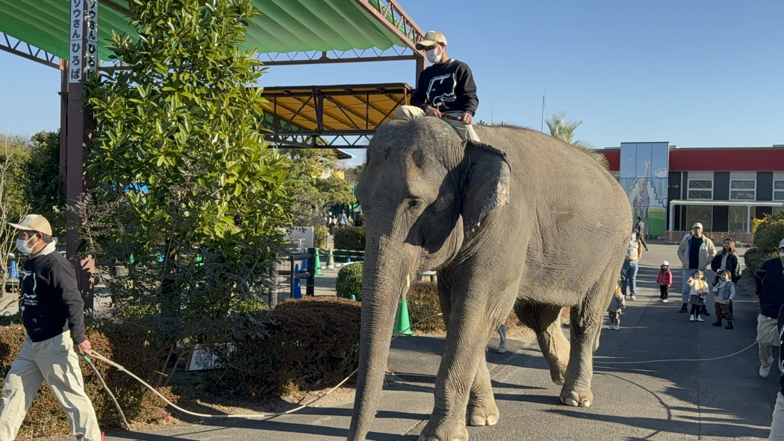 宮崎フェニックス自然動物園