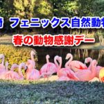 宮崎フェニックス自然動物園春の動物感謝デー【大人300円小中学生入園無料！】