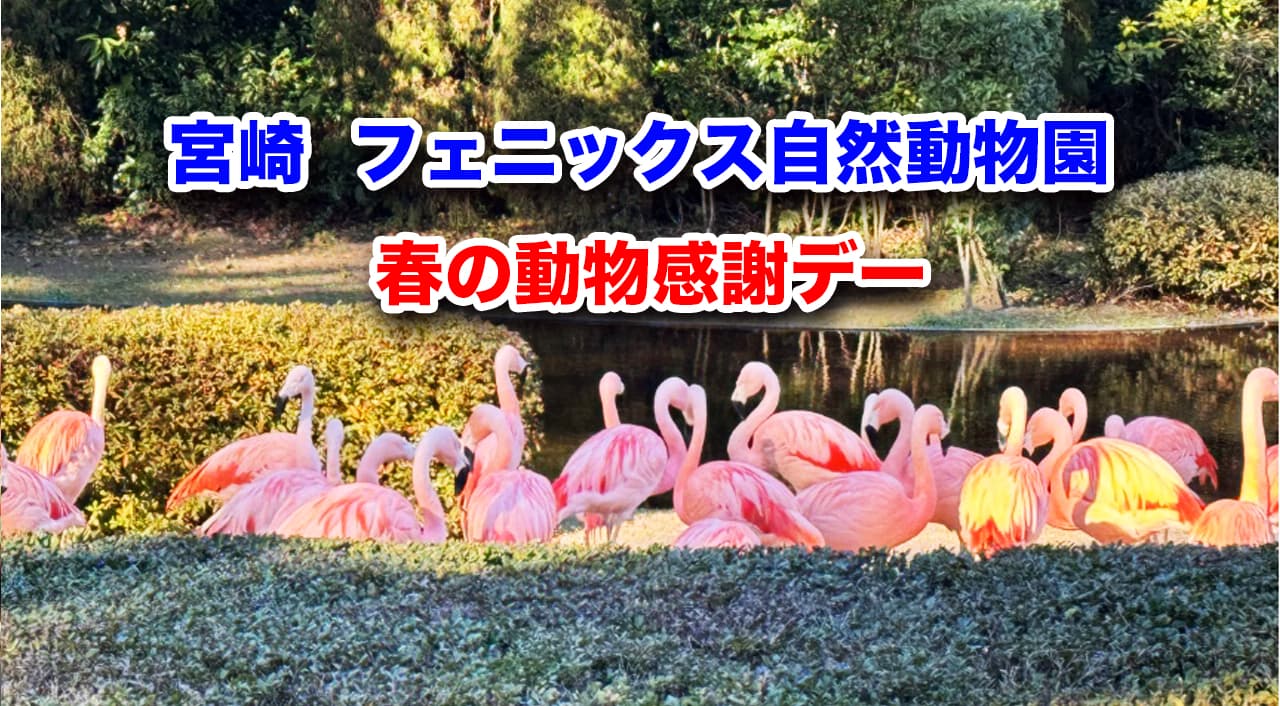 宮崎フェニックス自然動物園春の動物感謝デー【大人300円小中学生入園無料！】