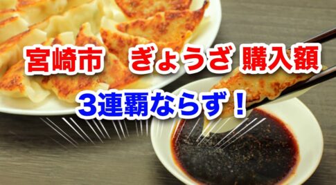 宮崎ぎょうざ購入額！3連覇ならず