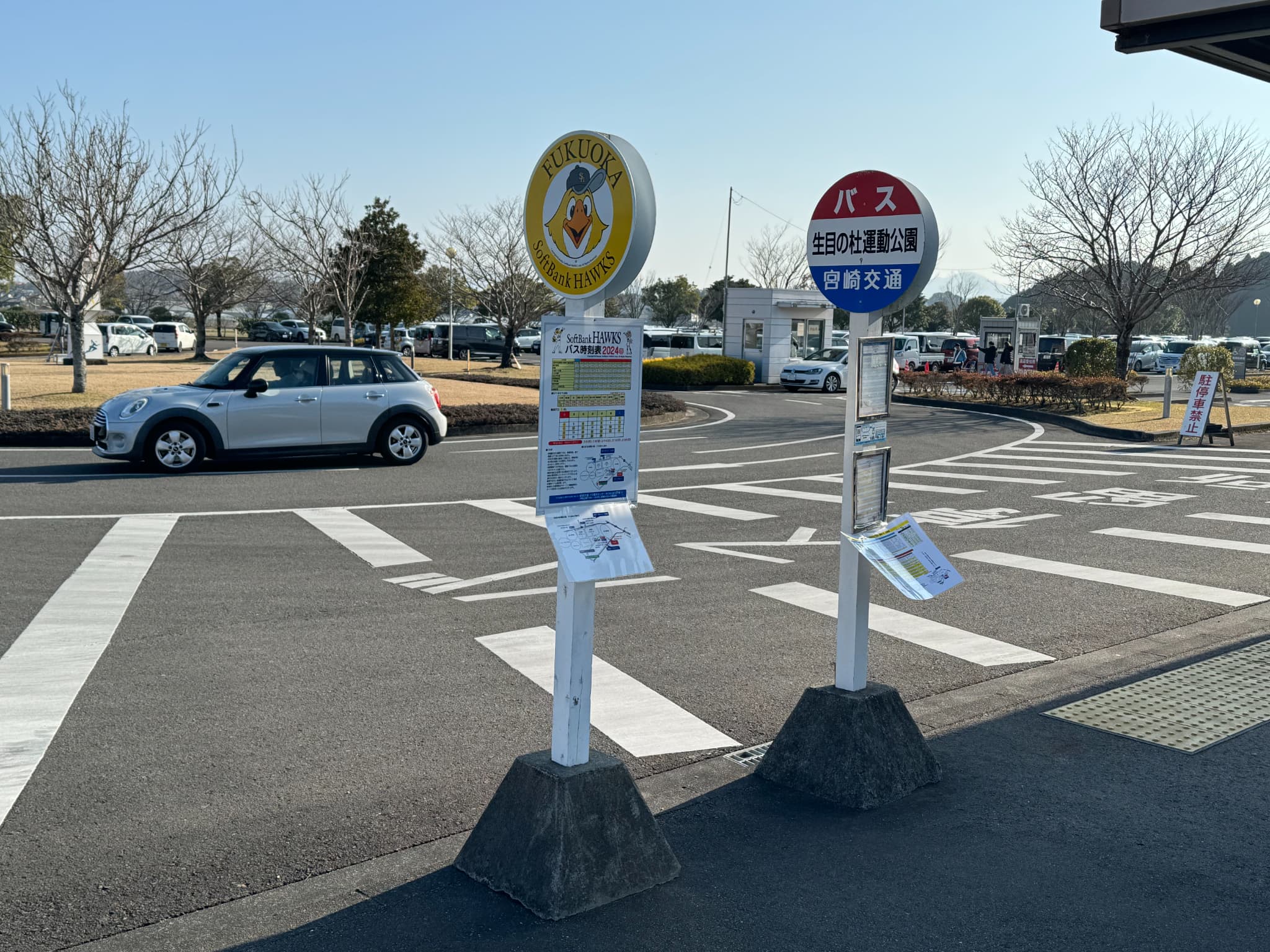 福岡ソフトバンクホークスキャンプ始まりました！