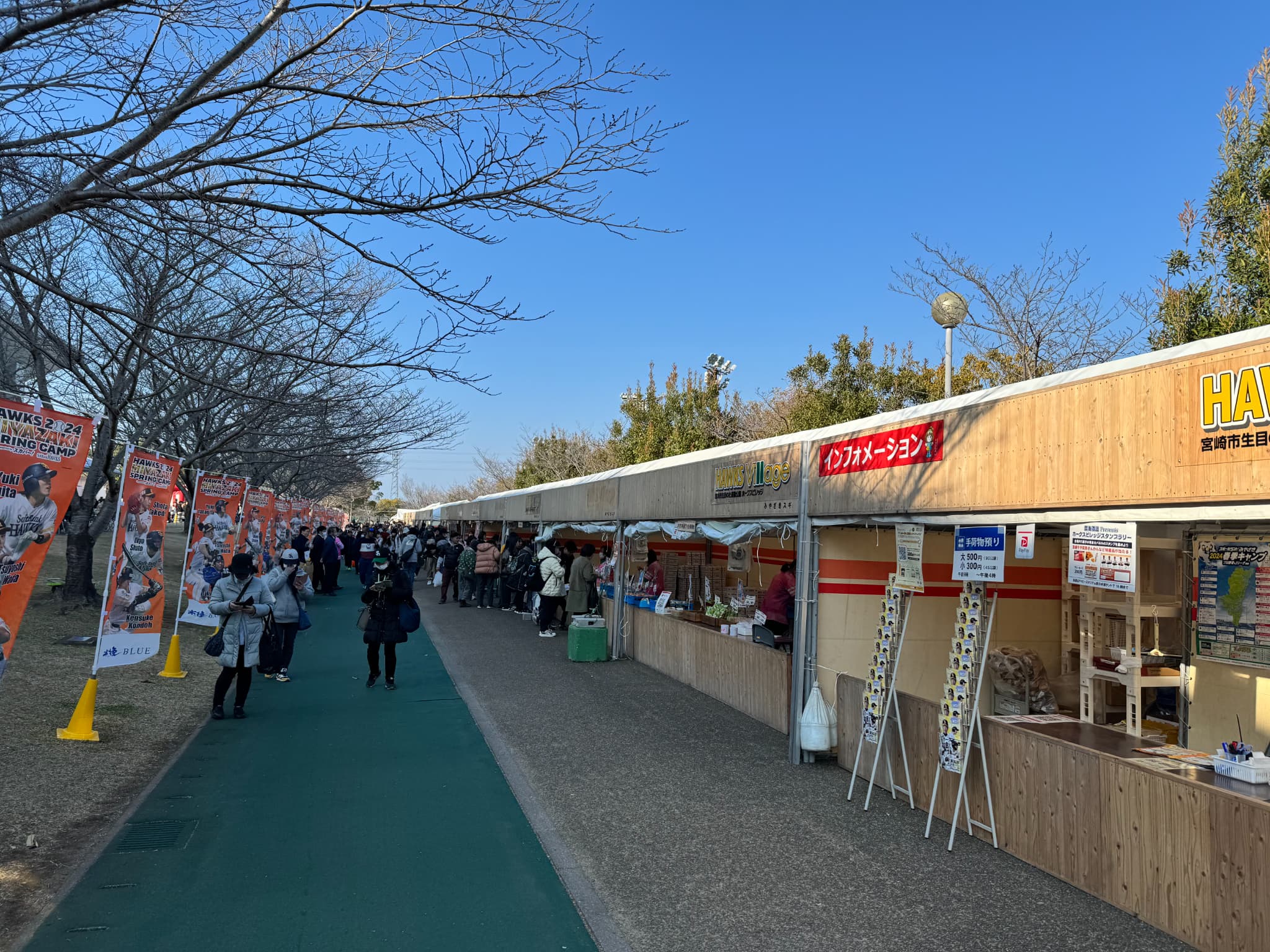 福岡ソフトバンクホークスキャンプ始まりました！