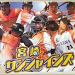 2024宮崎県初プロ野球リーグ『宮崎サンシャインズ』の応援にいこう！
