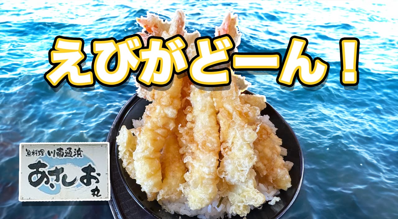 えびがドーンとそびえ立つ！ボリューム満点のえび天丼【あさしお丸】