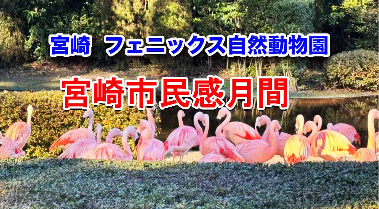 宮崎市民感謝月間【フェニックス自然動物園】