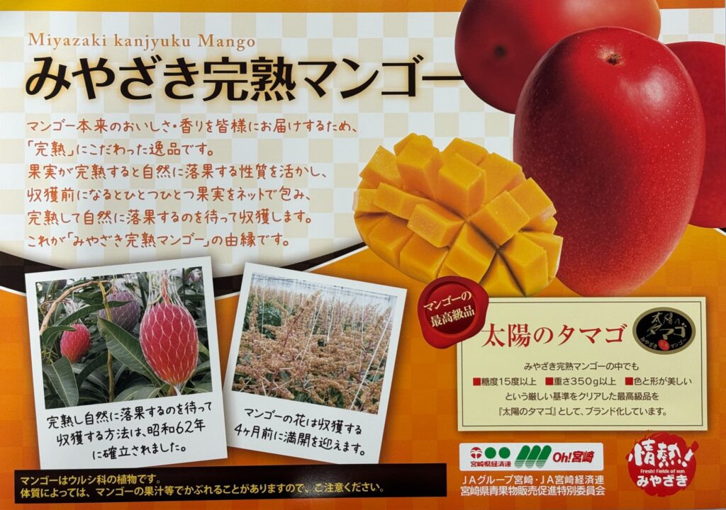 JAみやざき「みやざきマンゴースイーツパラダイス」開催!アミュプラザ宮崎