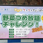 宮崎の宮交シティで野菜詰め放題チャレンジあります！