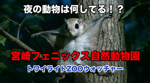 「夜の森で木にしがみつくムササビが、大きな黒目でこちらを見つめる。背景は闇に包まれ、木肌の質感が浮かび上がっている」