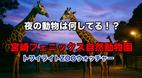 トワイライトZOOウォッチャーの告知用サムネイル。夕暮れの空の下、キリンとゾウのいる動物園に「夜の動物は何してる！？宮崎フェニックス自然動物園 トワイライトZOOウォッチャー」の文字入り。