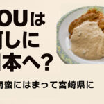 「YOUは何しに日本へ？」宮崎上陸！チキン南蛮にハマる外国人YOUたちが大興奮サムネール写真