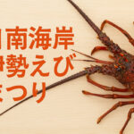 「日南海岸伊勢えびまつり」アイキャッチ画像