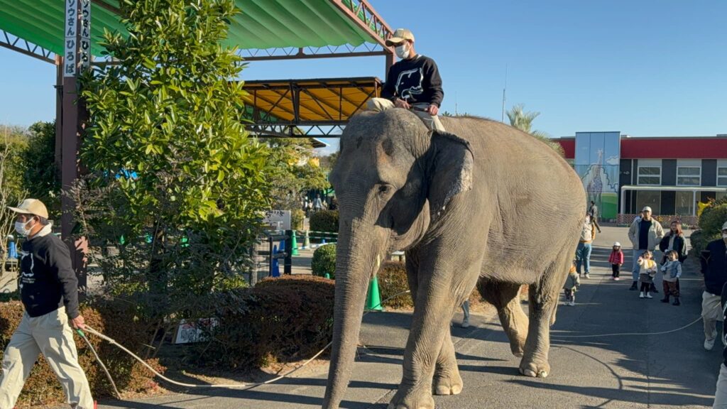 10月は「宮崎県民感謝月間」！宮崎市フェニックス自然動物園で入園料が半額に（1）