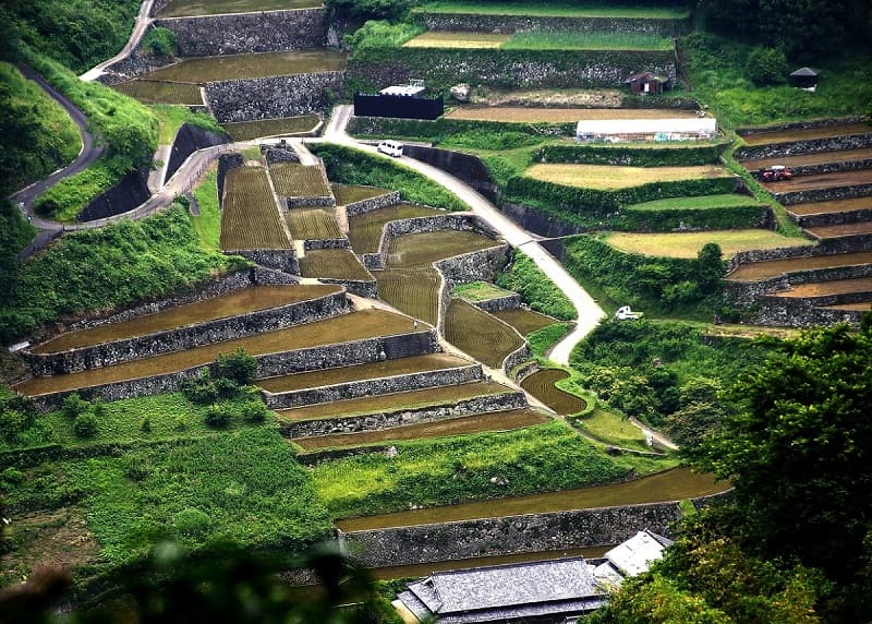 世界農業遺産「高千穂郷・椎葉山」10年の軌跡 ─ 農林水産省が後援するシンポジウム開催へ」画像1