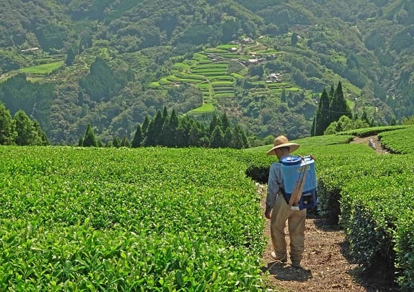 世界農業遺産「高千穂郷・椎葉山」10年の軌跡 ─ 農林水産省が後援するシンポジウム開催へ」画像3