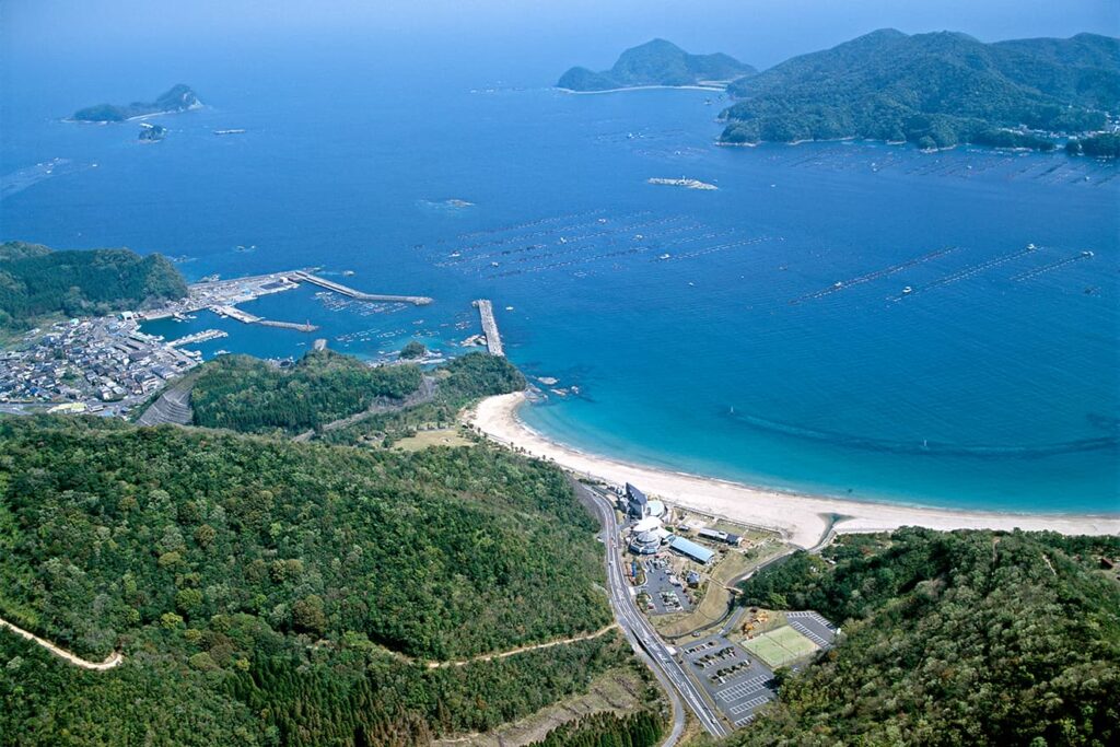 延岡の「美味しい」を知ってほしい！「延岡の魚」プレゼントキャンペーン8