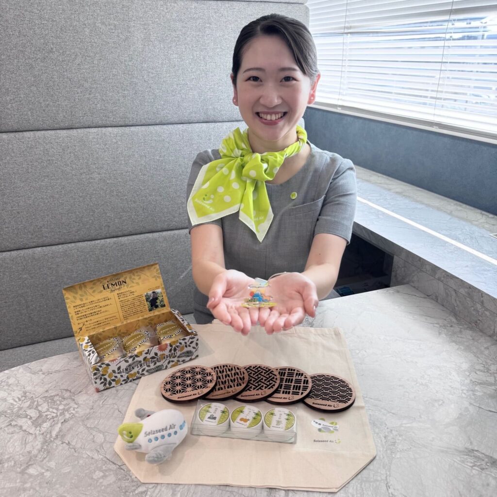 2026年元日実施決定!ソラシドエア「初日の出&初詣フライト2026」画像2