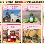 アミュプラザみやざきで「みやざきワイン博覧会2025＆秋の美食祭」開催中！