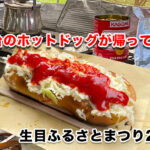 平和台のホットドッグが帰ってくる！台風で延期も熱気そのまま！「生目ふるさと祭り2025」10月18日開催へ-アイキャッチ画像