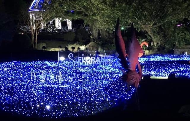 【フローランテ宮崎】イルミネーション・フラワーガーデン2025｜四季彩と音楽がきらめく冬の光の庭画像1