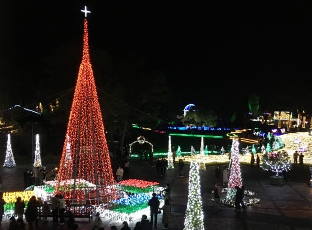 【フローランテ宮崎】イルミネーション・フラワーガーデン2025｜四季彩と音楽がきらめく冬の光の庭画像2