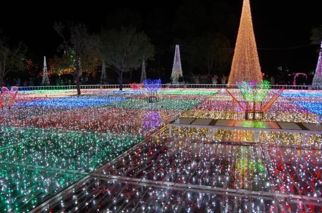 【フローランテ宮崎】イルミネーション・フラワーガーデン2025｜四季彩と音楽がきらめく冬の光の庭画像3