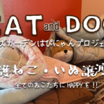 売上全額を保護活動費へ。宮崎の寝具メーカー菱友、規格外のペット用寝具を譲渡会に寄贈する支援を開始-アイキャッチ画像