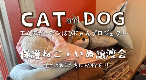 売上全額を保護活動費へ。宮崎の寝具メーカー菱友、規格外のペット用寝具を譲渡会に寄贈する支援を開始-アイキャッチ画像